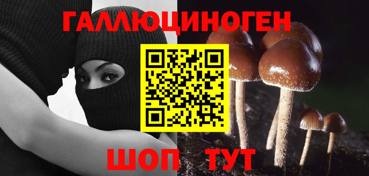 Псилоцибиновые грибы Cubensis  Вход с VPN  Дагестанские Огни  Галлюциногенные грибы Psilocybe 